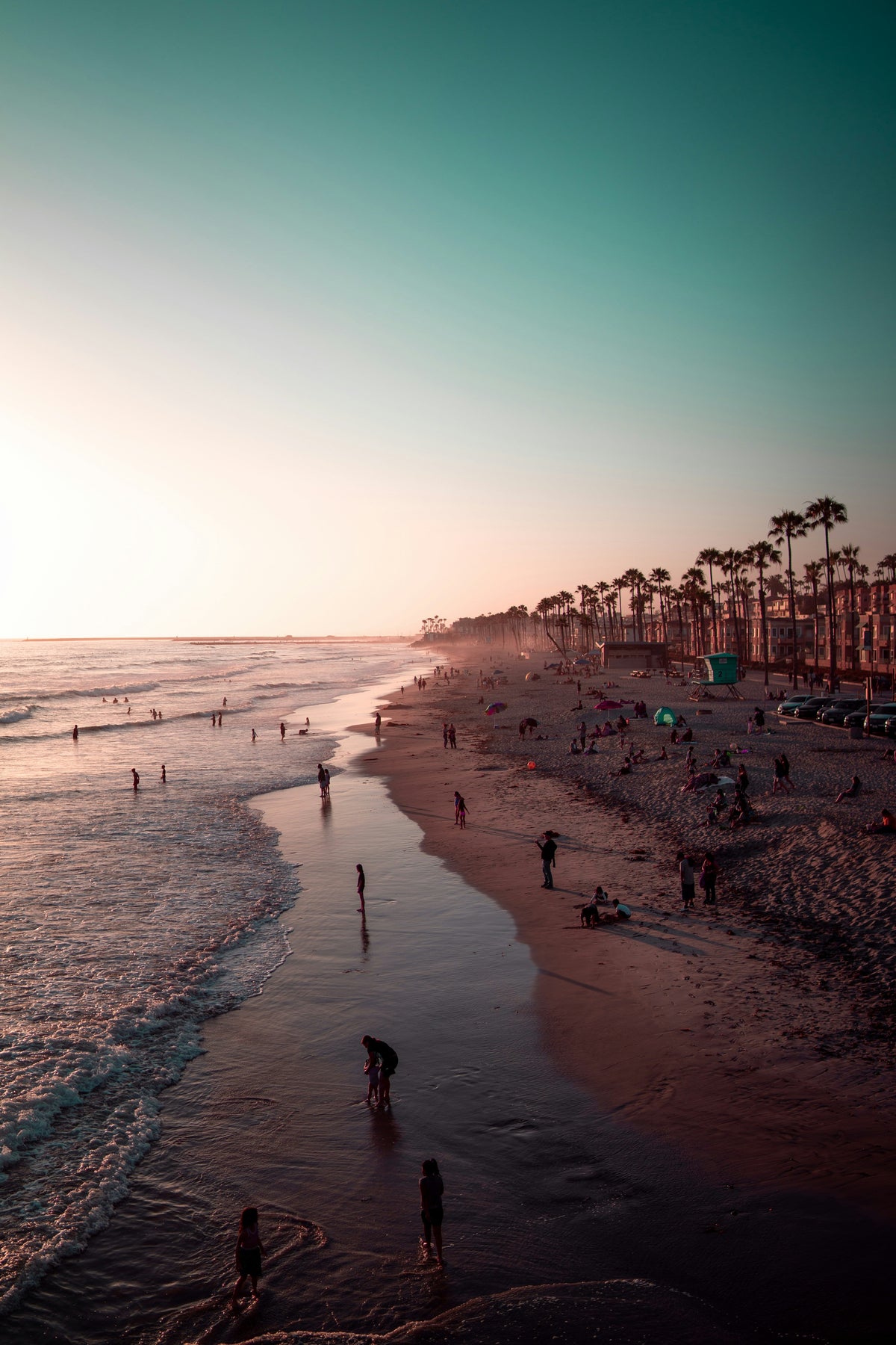 The Coast