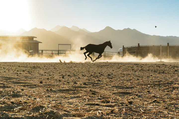 Why STILLWEST Funds Father's Hour